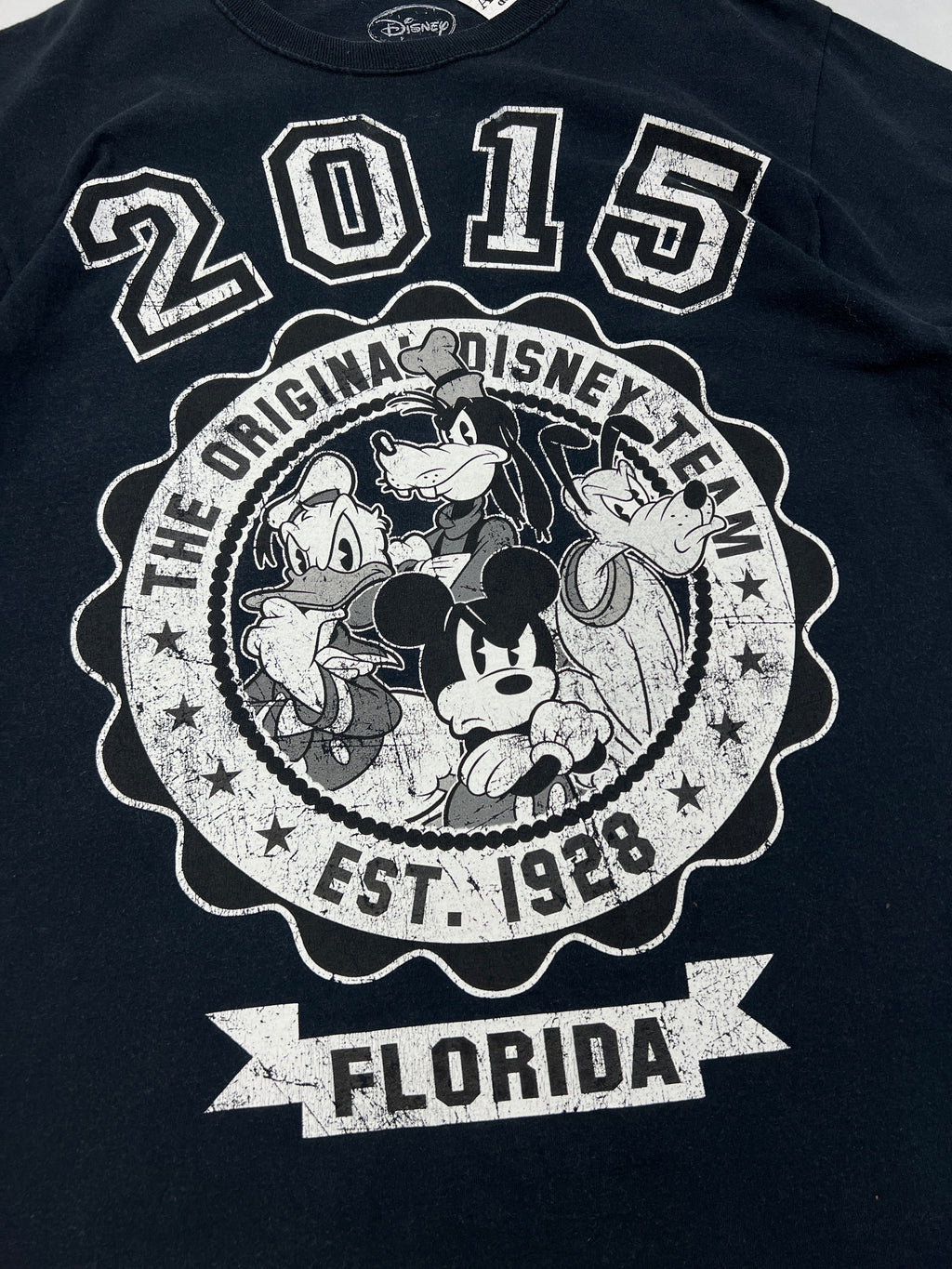 Disney Florida 2015 Souvenir T-Shirt