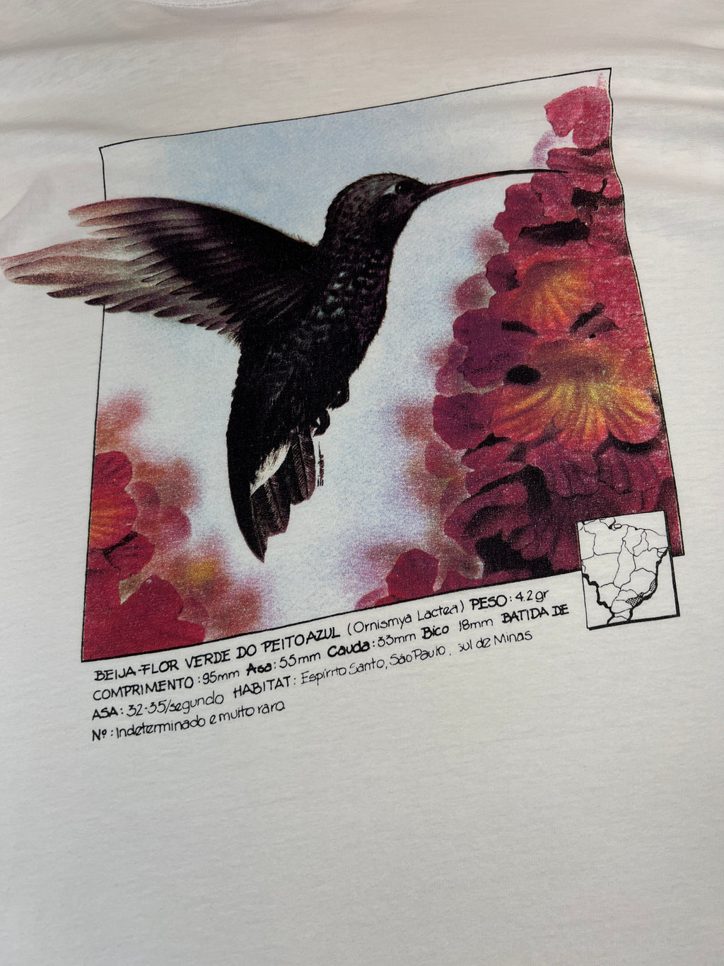 Ecology T-Shirt
